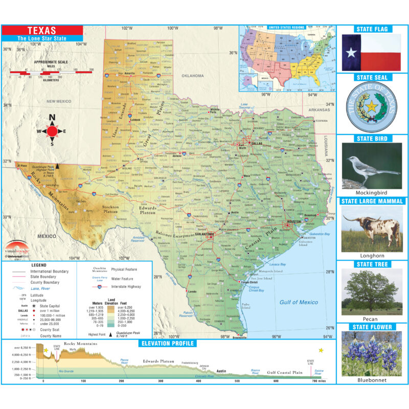 Texas Primary Thematic State Wall Map by Kappa - The Map Shop